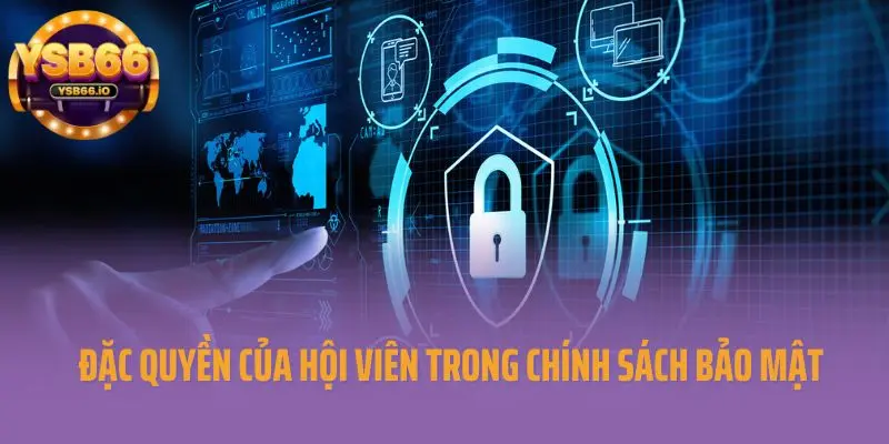 Đặc quyền của hội viên trong chính sách bảo mật YSB66